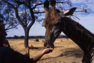 04.1999 Zimbabwe 027 04.1999 Zimbabwe 027