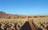 07.2015 Namibia 006