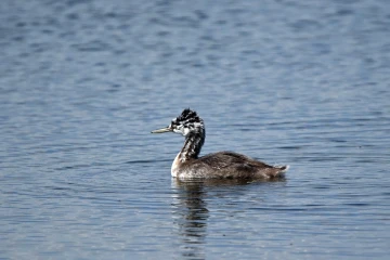 2024 12 agentina 2024 12 agentina