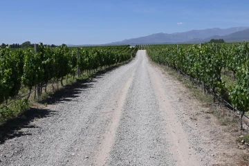 2024 12 agentina 2024 12 agentina