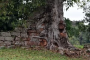 2023 06  brasilien
