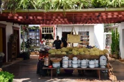 2026 brazil tiradentes44