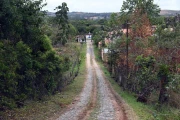 2026 brazil tiradentes46