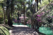 2026 museum inhotim02