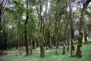 2023 06 waypoints world trip paraguay