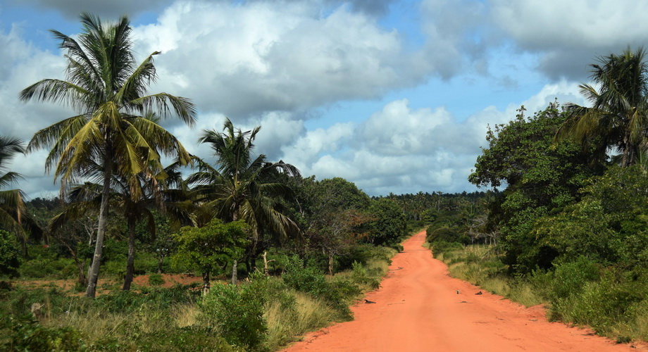 Track to Morrungulo Beach