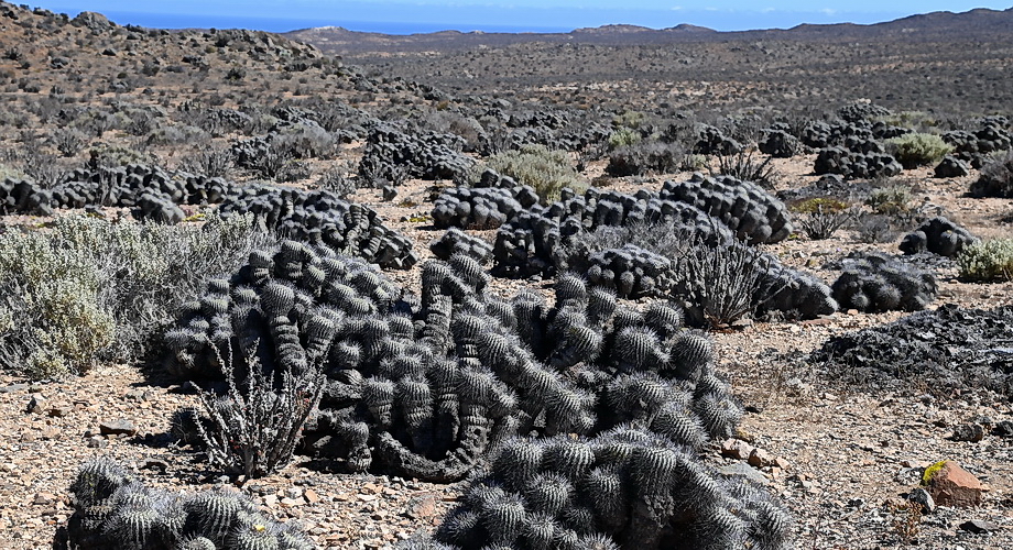 Nationalpark Llano de Challe