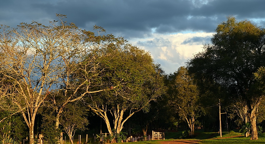 Parque Manantial